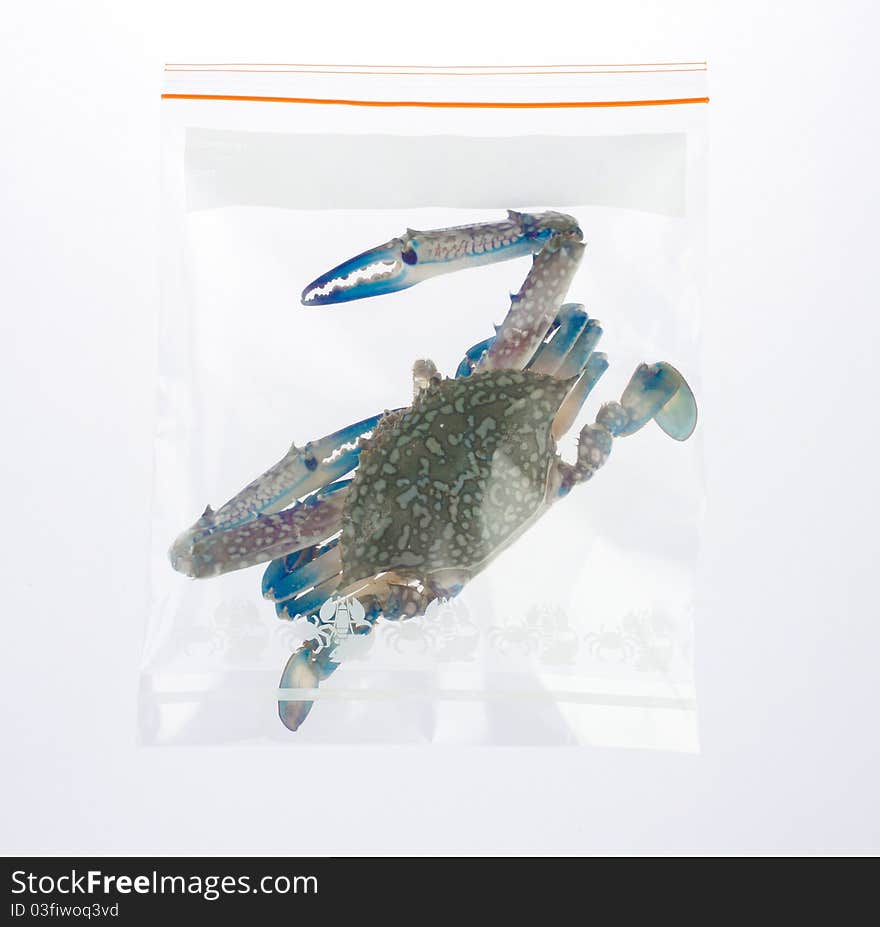 Fresh crab in the plastic zipper bag