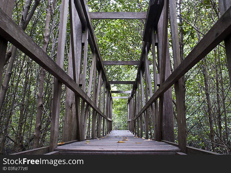 Path way for study mangrove forest. Path way for study mangrove forest