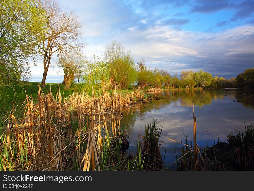 Summer landscape with river.