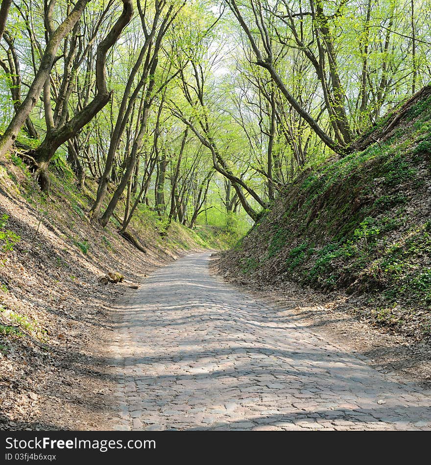 Ancient Stone Road