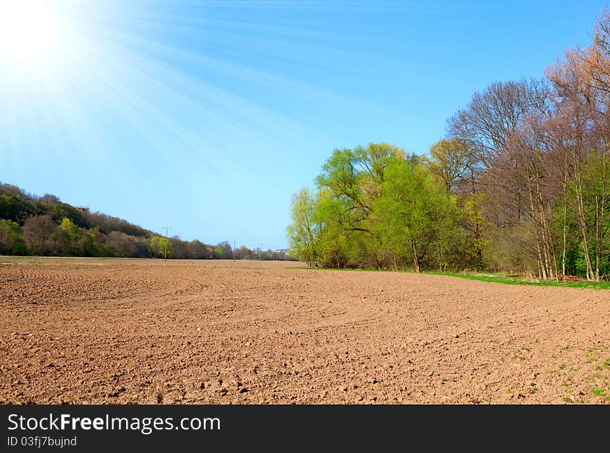 Agriculture field with sunlight, in the springtime