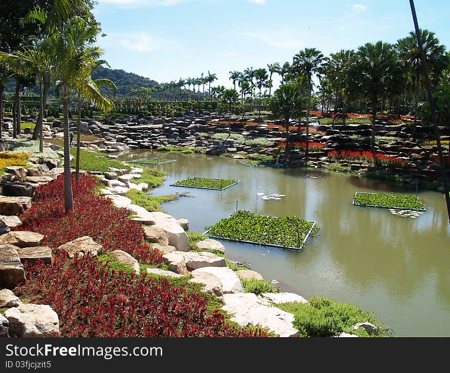 Colorful tropical garden with water and plants - daytime. Colorful tropical garden with water and plants - daytime.