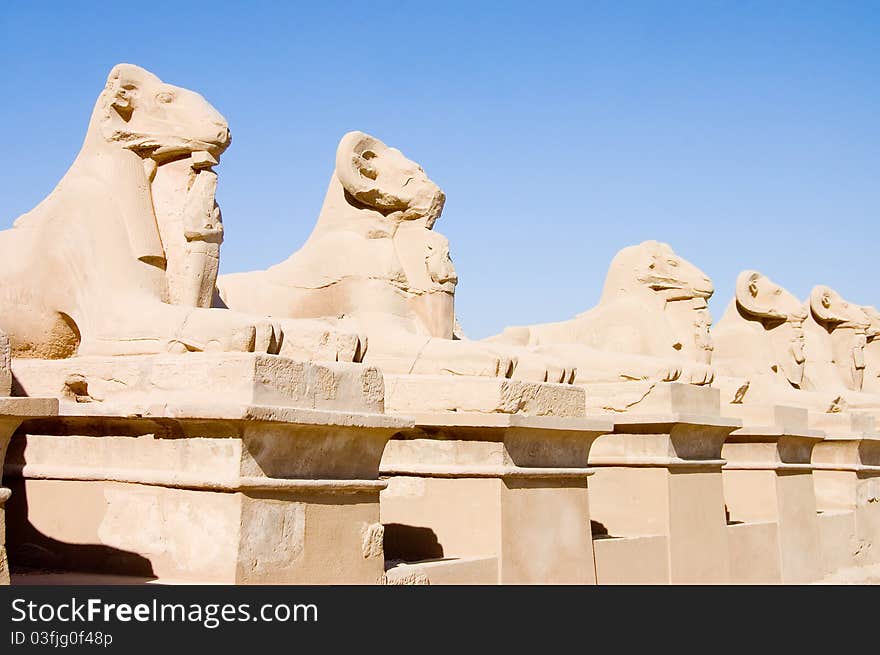 Statues In The Ancient Temple In Luxor.