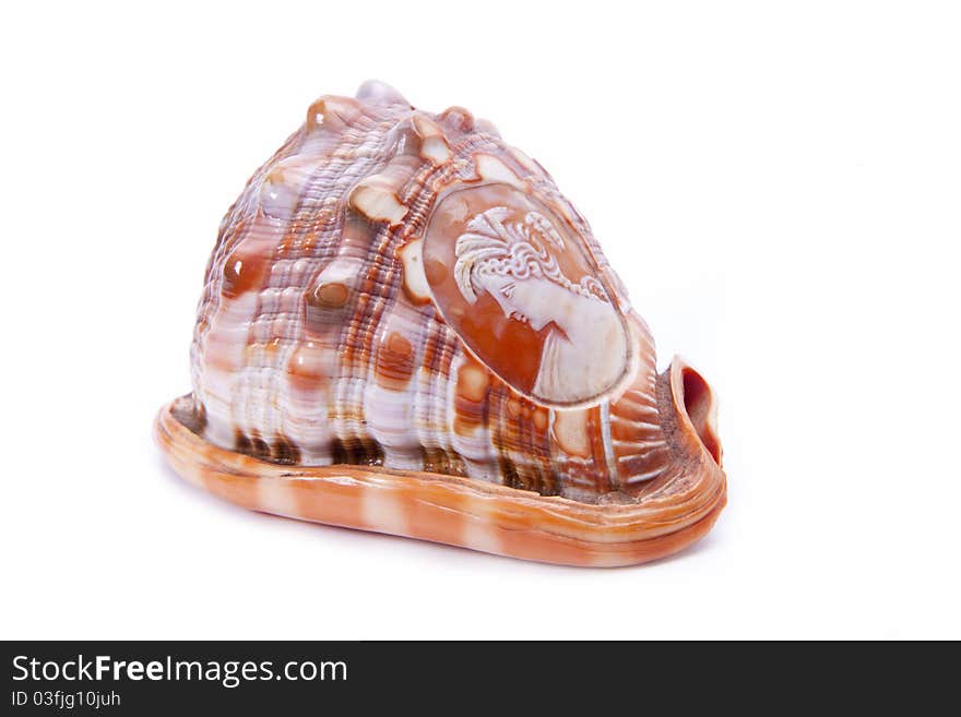 Antique carved seashell.