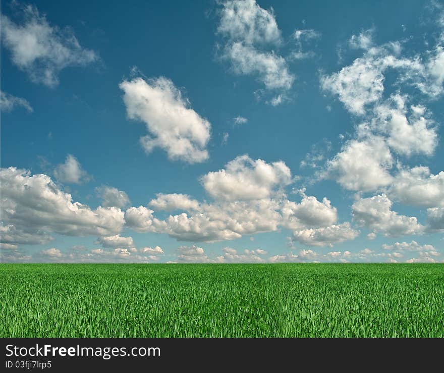 Green meadow on background of clouds