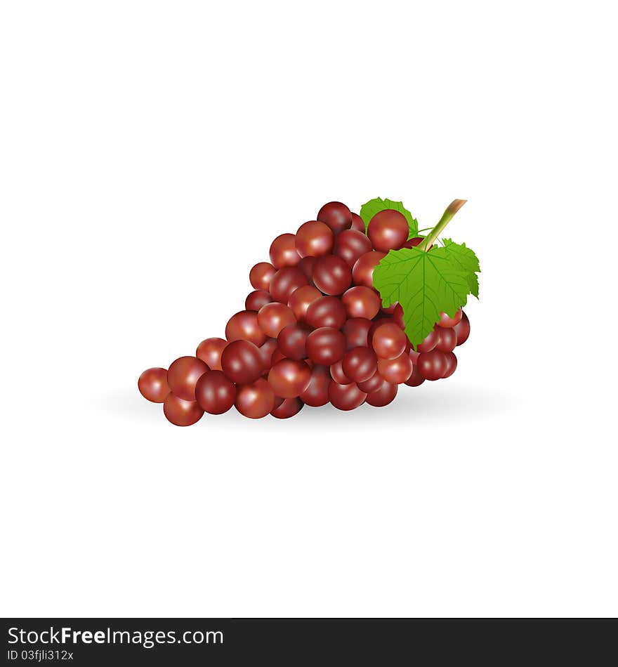 Illustration of grapes with leaf on white background