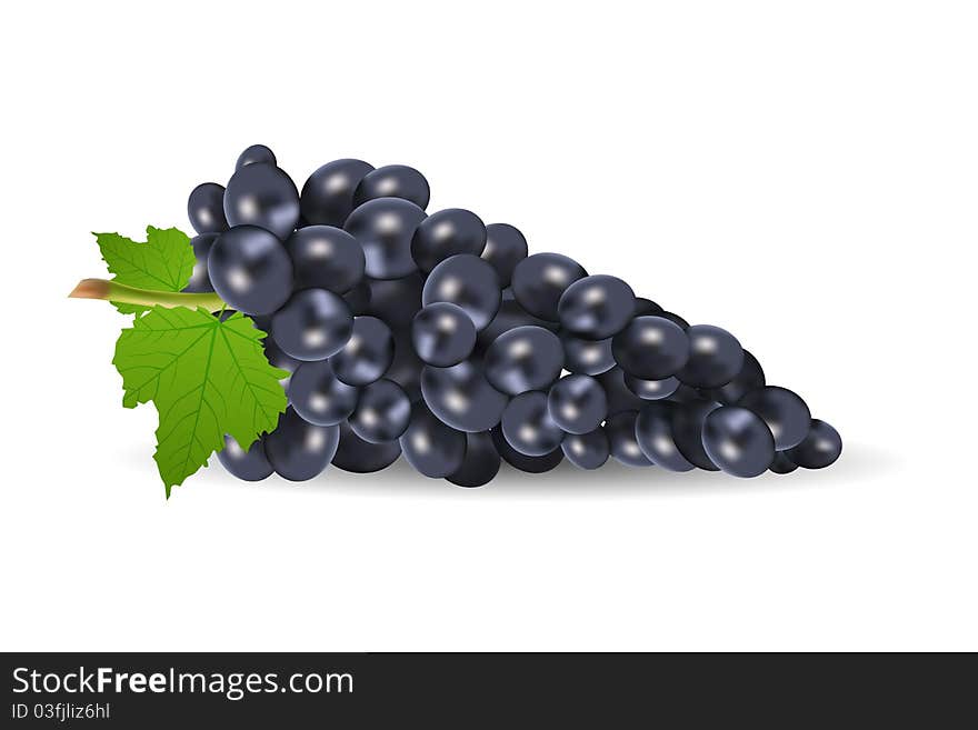 Illustration of grapes with leaf on white background