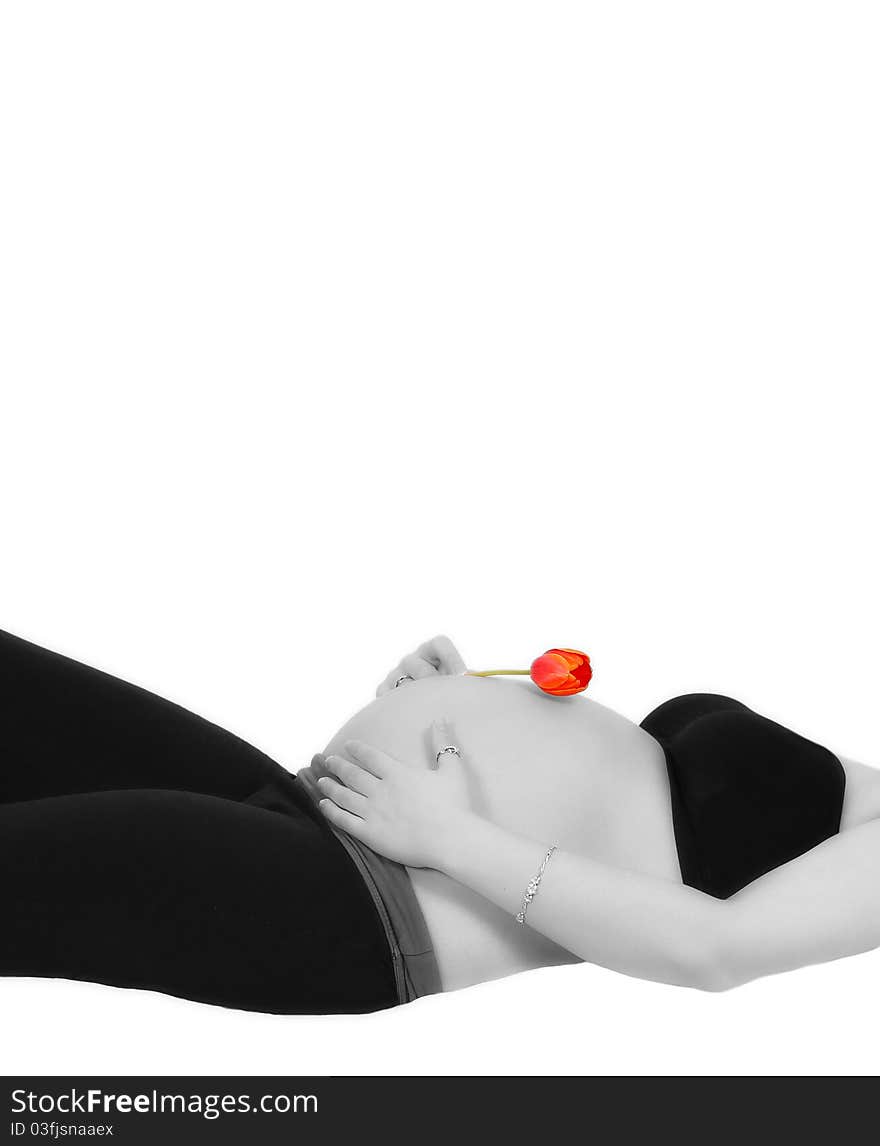 Pregnant woman laying with tulip on belly