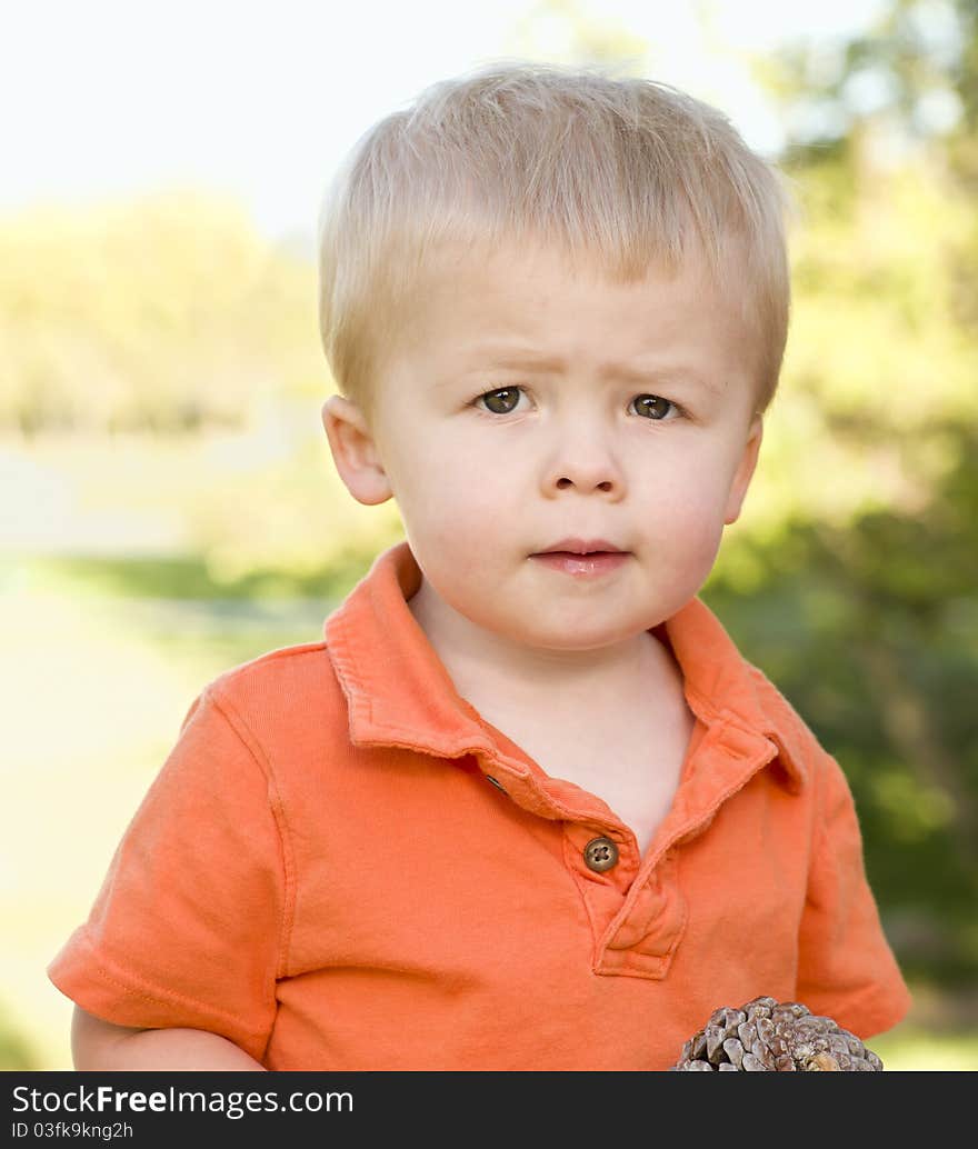 Cute Young Boy Portrait Holding Pine Cone in The Park. Cute Young Boy Portrait Holding Pine Cone in The Park.