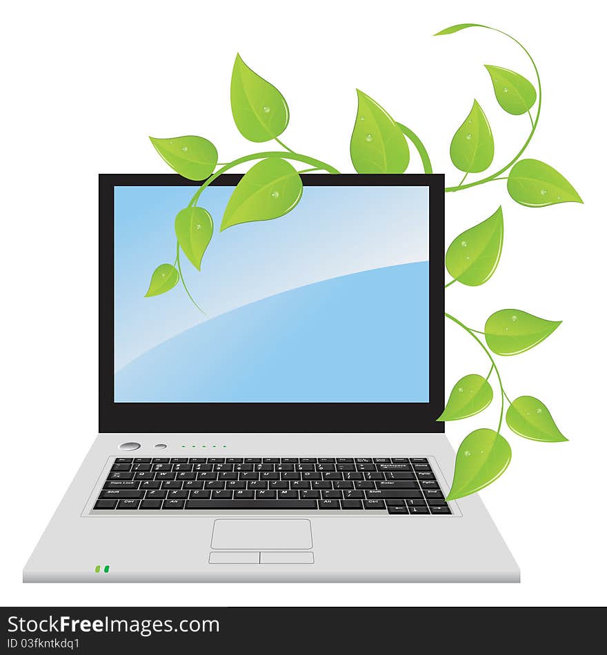 A laptop with a plant