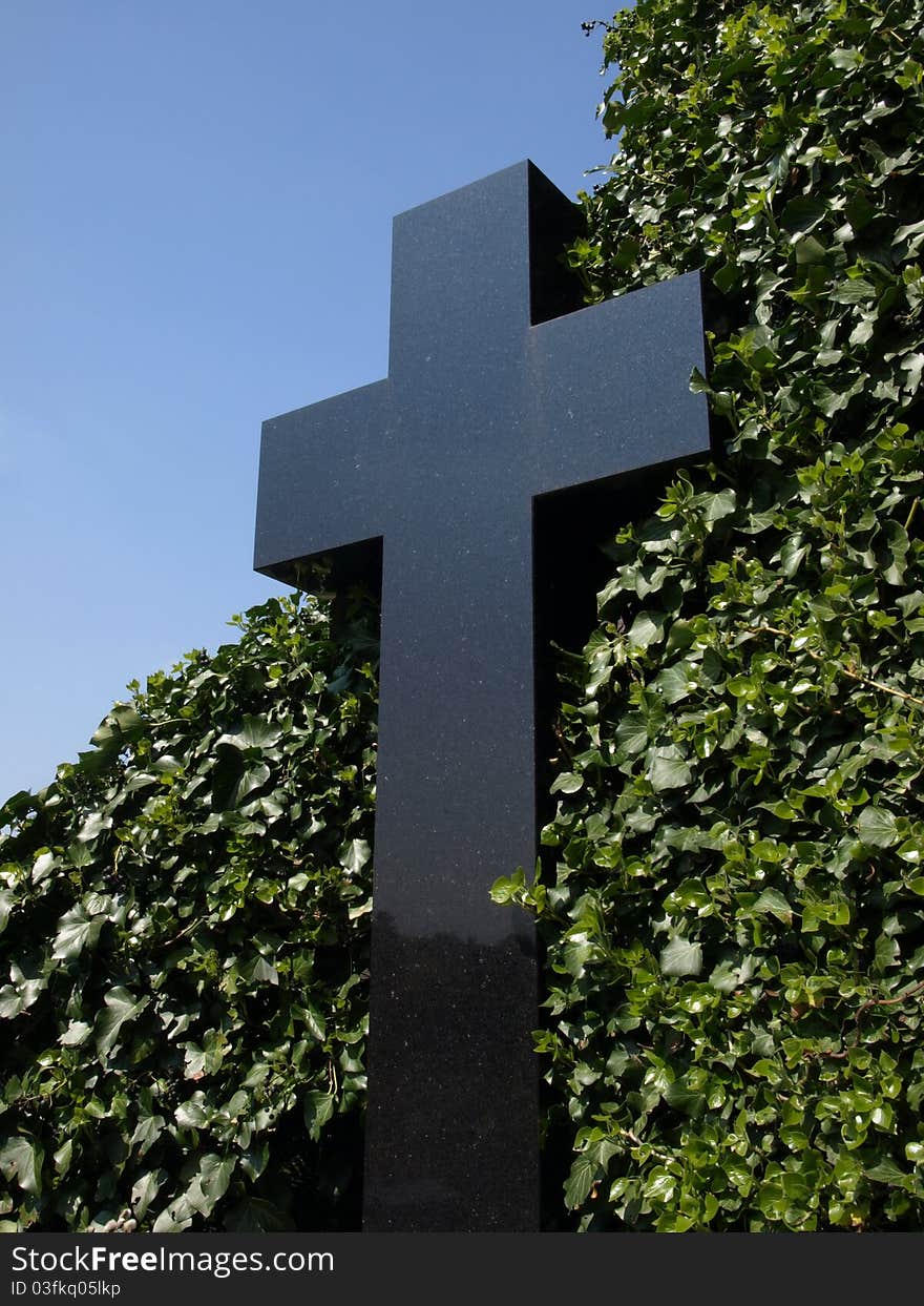 Black cross overgrown whit ivy over blue sky