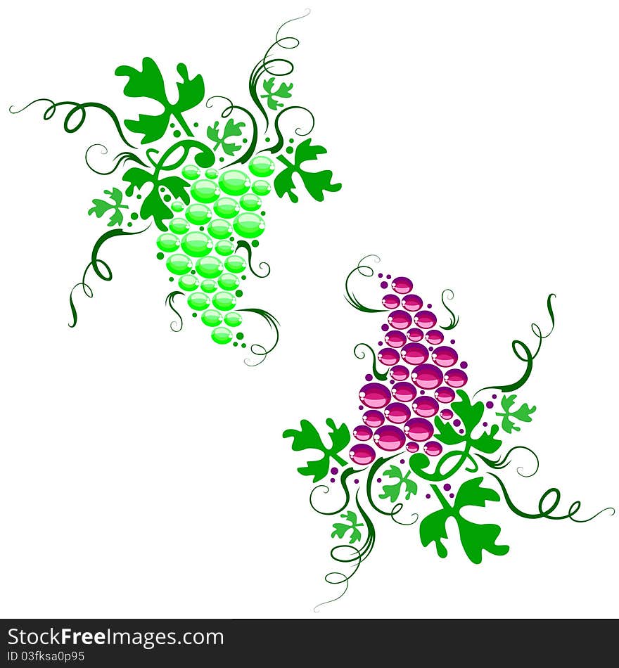 Two beautiful bunches of grapes. Green and red grapes. Vector isolated on a white background. Two beautiful bunches of grapes. Green and red grapes. Vector isolated on a white background.