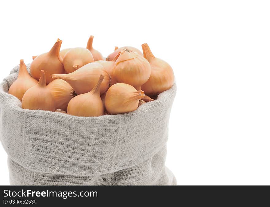 Small onion in linen bag.