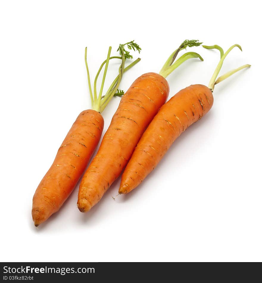 Fresh Carrots on White Background