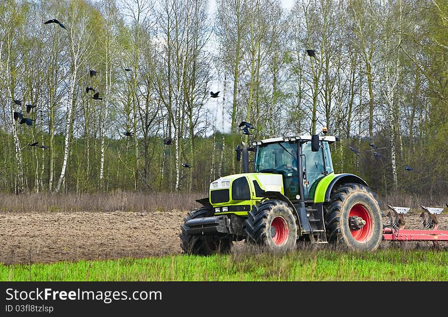 The tractor plows a field accompanied by rooks. The tractor plows a field accompanied by rooks