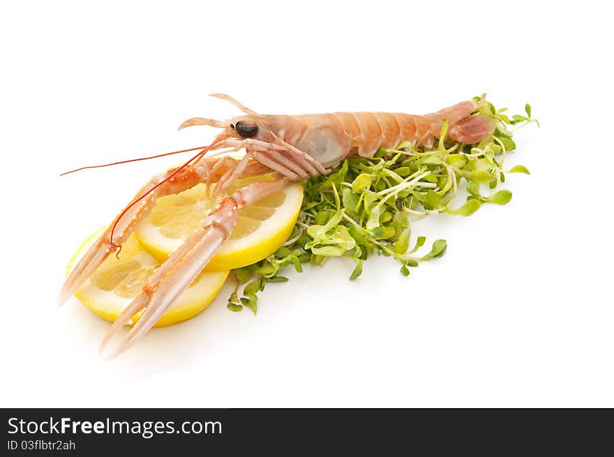 Fresh and varied seafood isolated on white background. Fresh and varied seafood isolated on white background