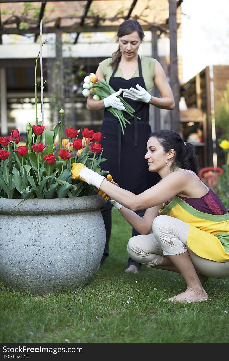 Two women gardening