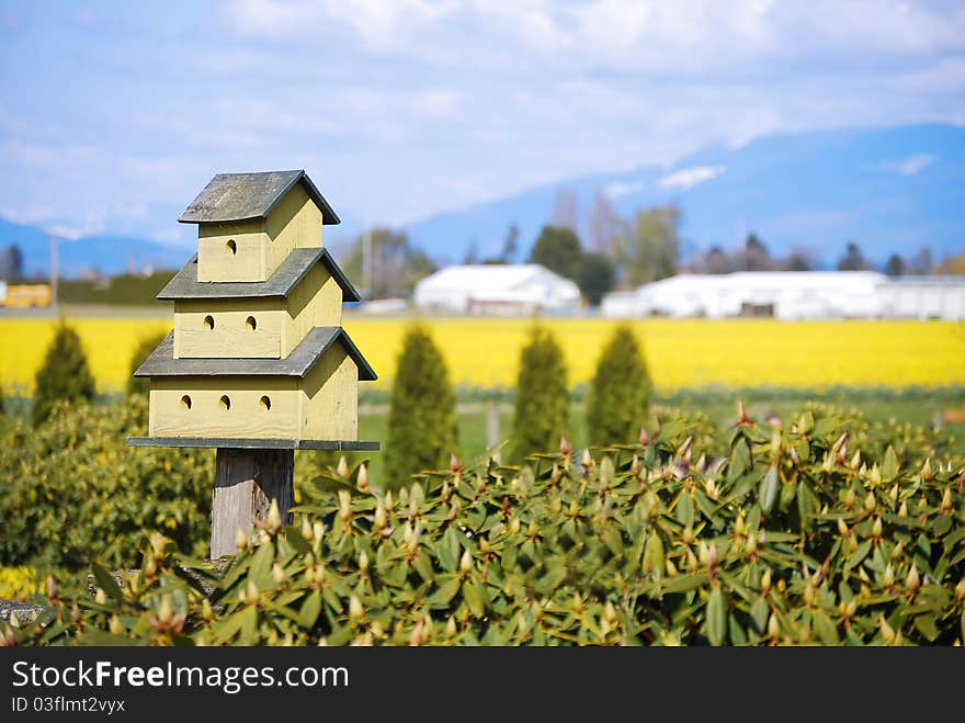 Little green  birdhouse with tree floors with spring farms feld background.