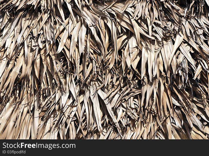 Close up details of a thatched roof background