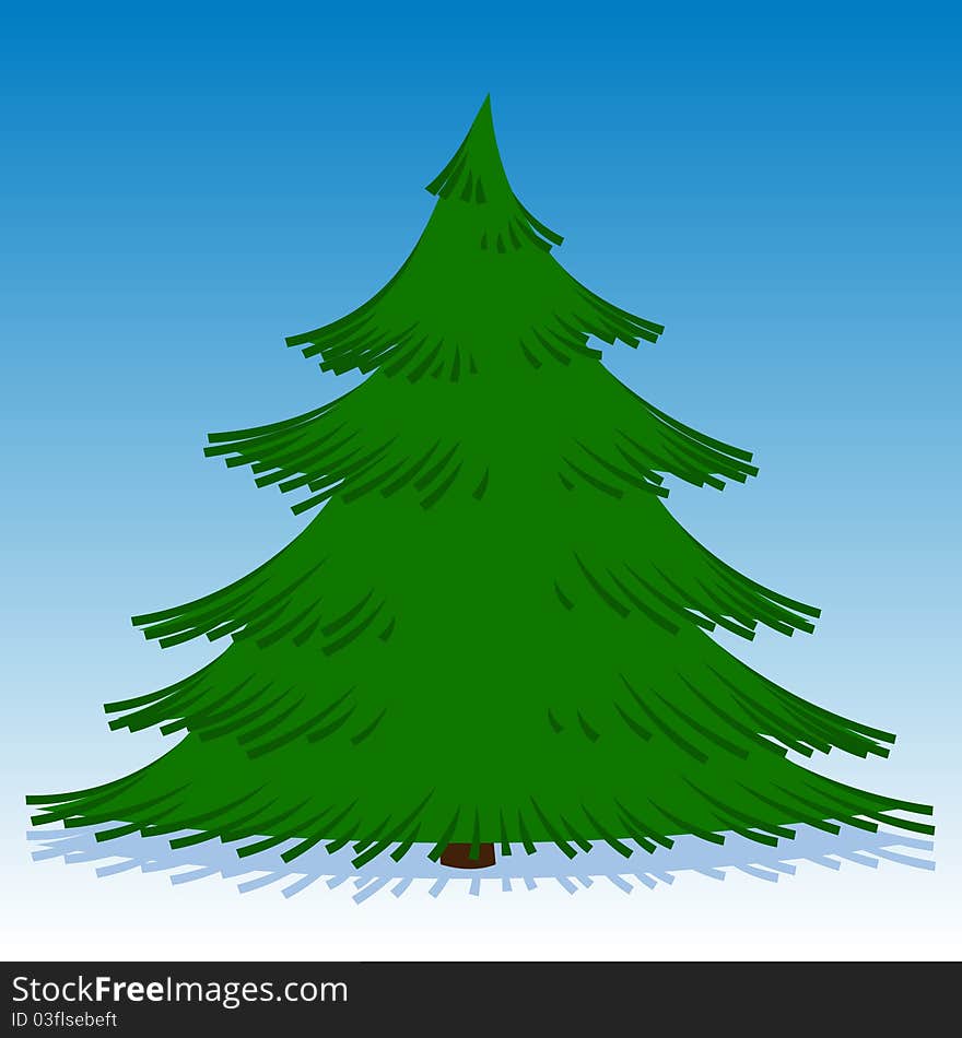 Illustration of spruce on a blue background. Illustration of spruce on a blue background