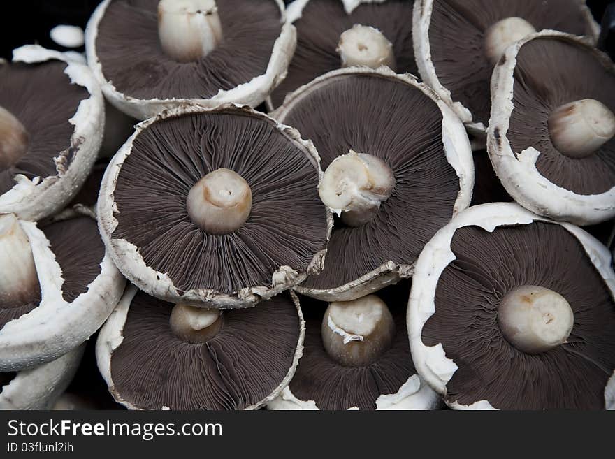 Mushroom Background taken at local market. Mushroom Background taken at local market