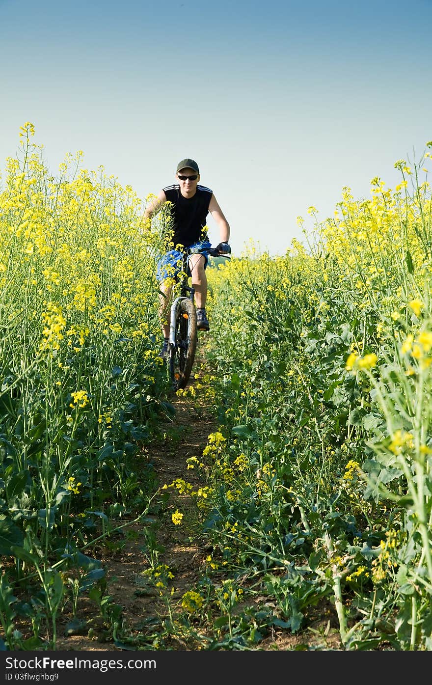 Men on bike in flower field. Men on bike in flower field