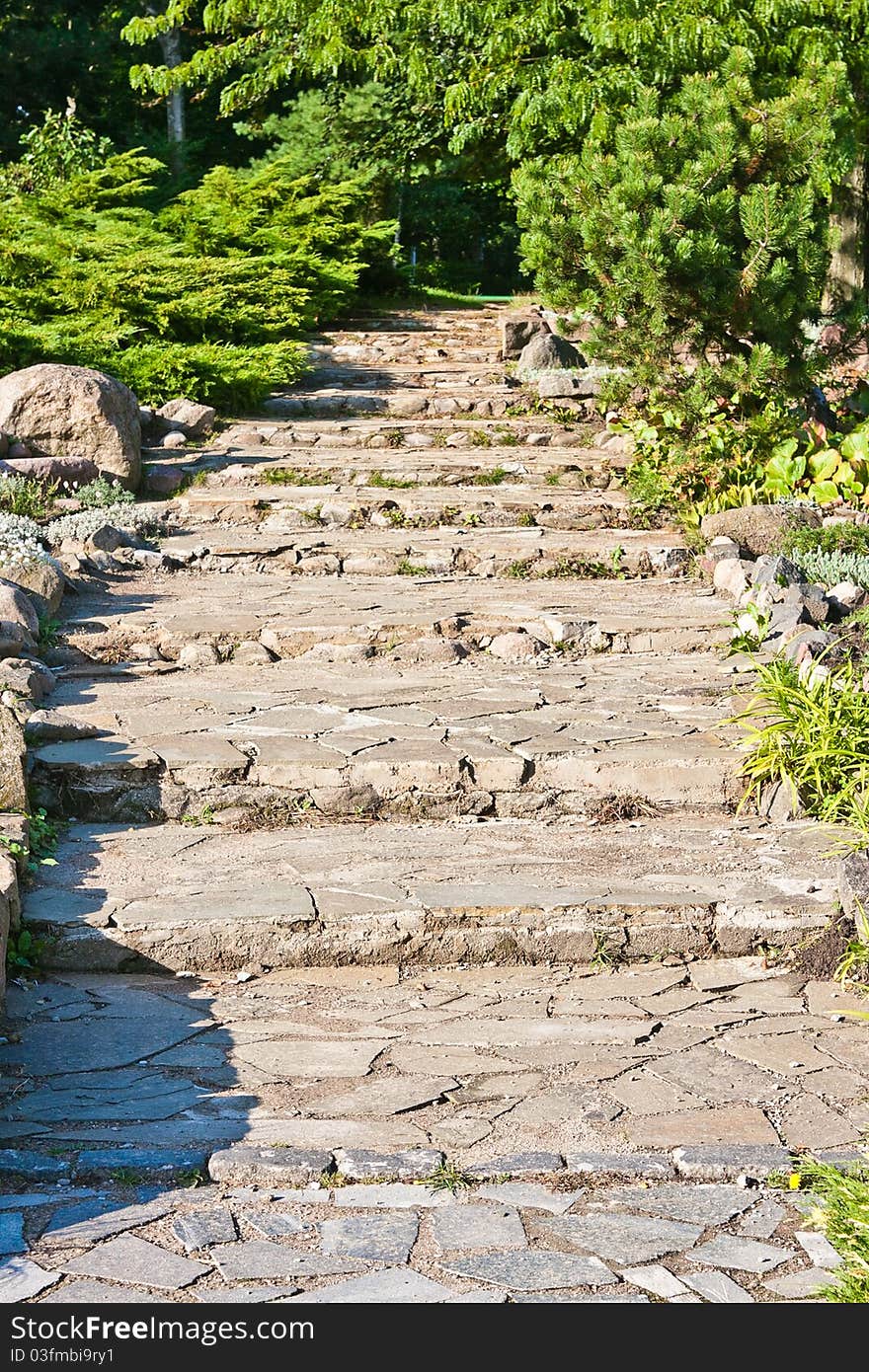 Stone steps in the needles garden. Stone steps in the needles garden