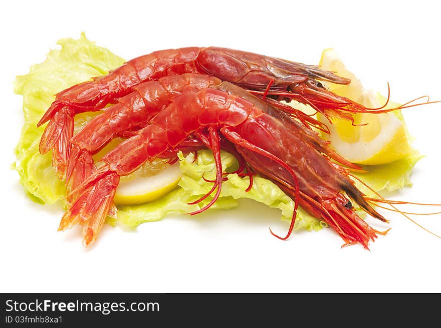 Seafood over a bed of lettuce and lemon isolated on white background