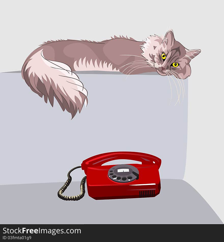 Lilac fluffy tabby cat with yellow eyes lying on the couch in front of a red phone. Lilac fluffy tabby cat with yellow eyes lying on the couch in front of a red phone