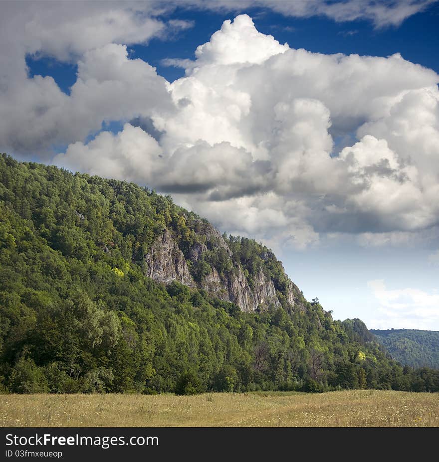 Mountain covered by forest