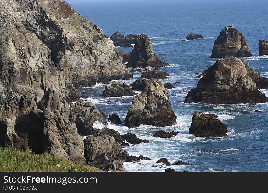 Bodega Head Coastline