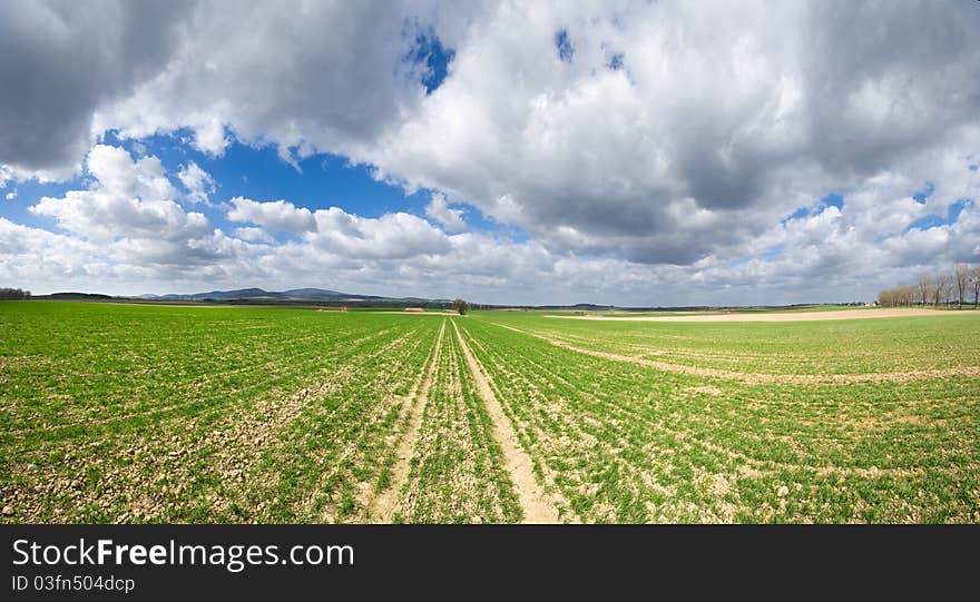 Rural view