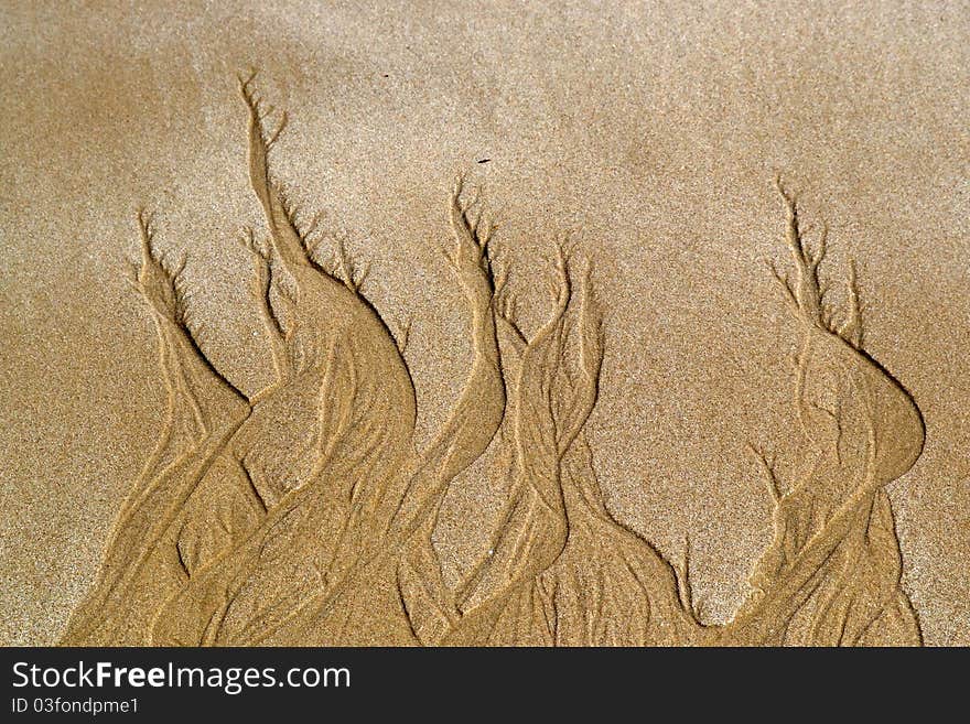 Background of Sand Flame Patterns