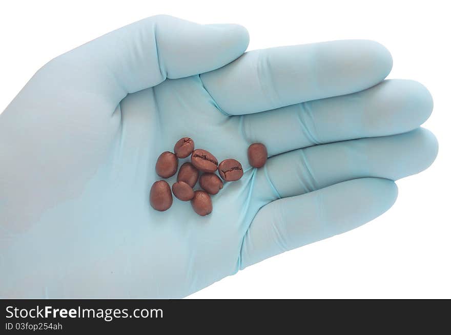 Isolated photo gloved hand holding coffee beans. Isolated photo gloved hand holding coffee beans