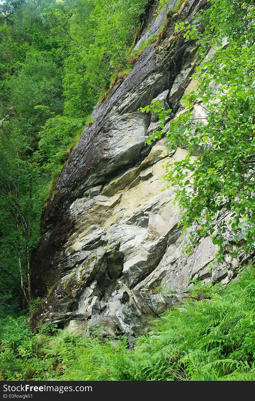 Wet of rain rock in the deep wild forest. Wet of rain rock in the deep wild forest