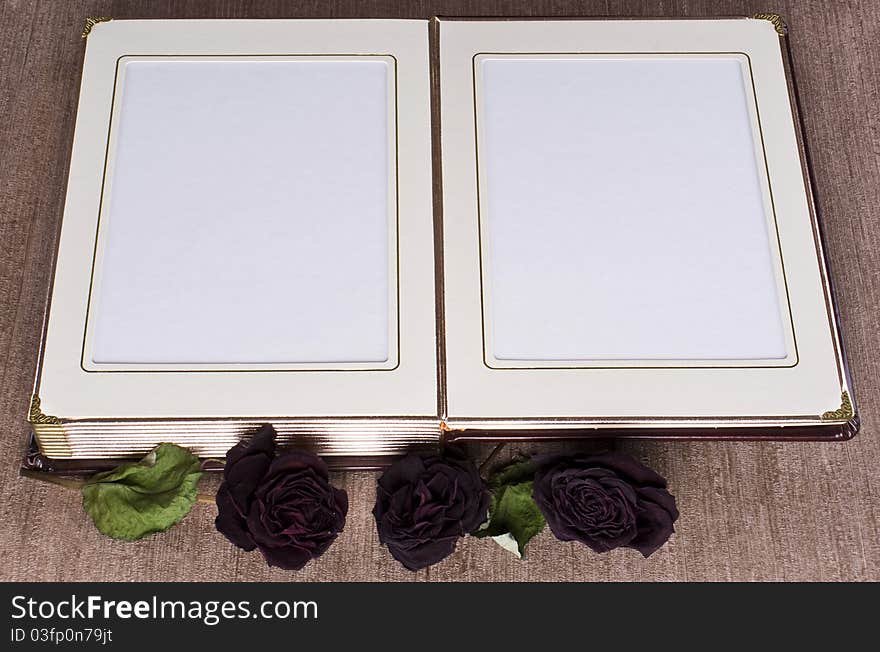 Open old book with gold framed pages and dried roses