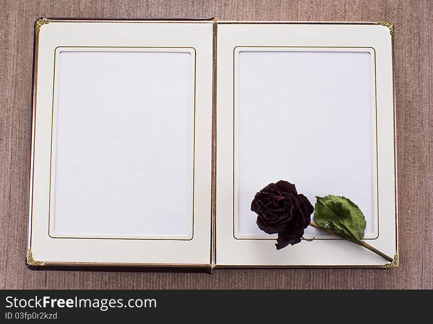 Open old book with gold framed pages and dried rose