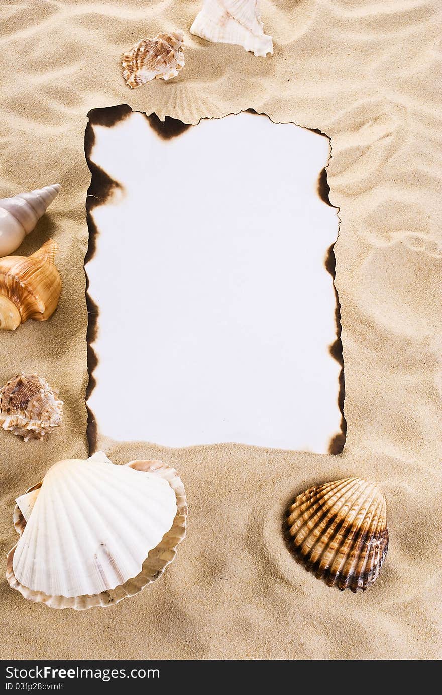 Burned paper on the sand with shells. Burned paper on the sand with shells