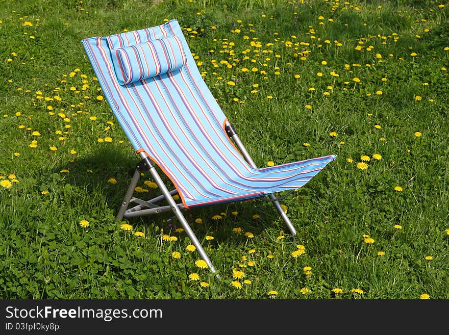 Garden chair in the grass surrounded with dandelion flowers