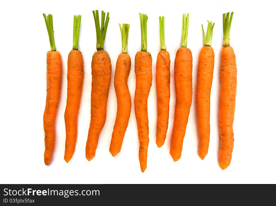 Line of carrots over white