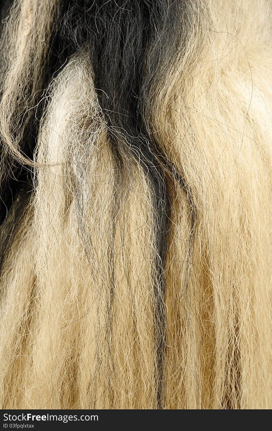 Yak hair texture