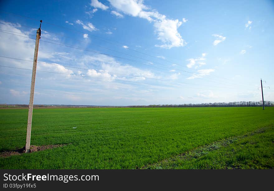 Field And Sky