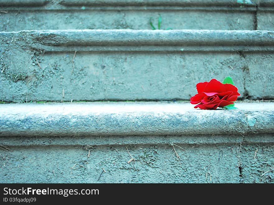 Red rose stairs