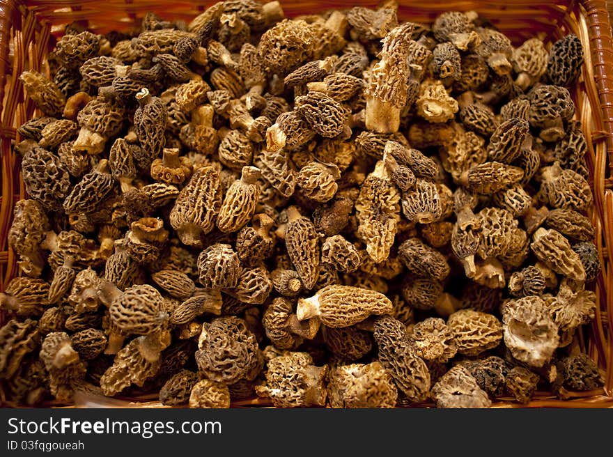 Morel mushrooms