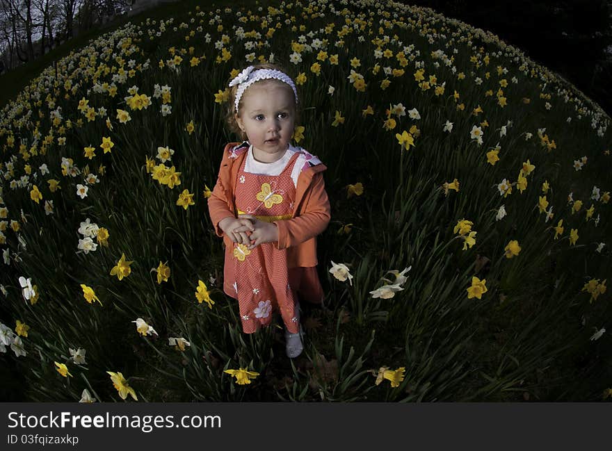 A young girl standing in a feild of daffodil flowers, wearing a butterfly dress. A young girl standing in a feild of daffodil flowers, wearing a butterfly dress.