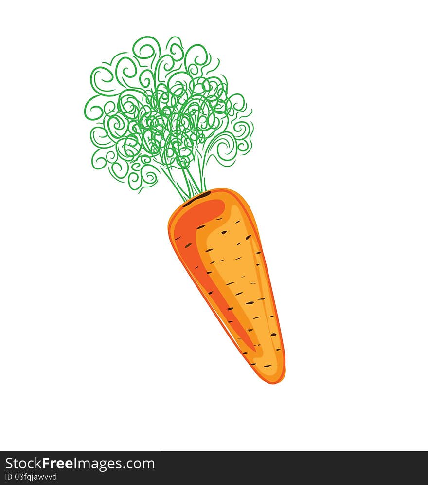 The drawn carrot isolated on white background