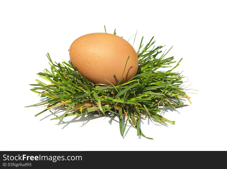 The egg a bird lays on a green grass. The egg a bird lays on a green grass