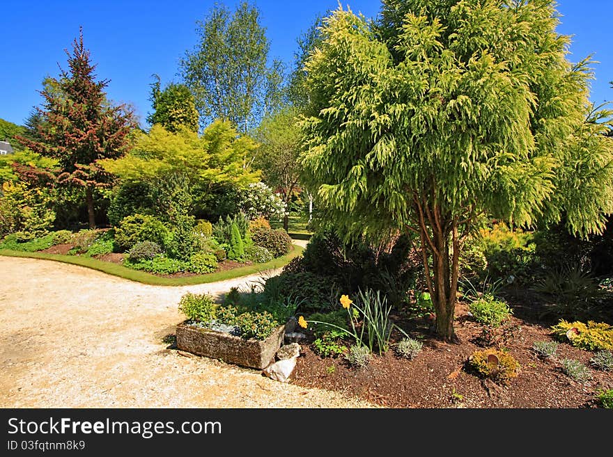 Beautiful Spring garden on sunny day