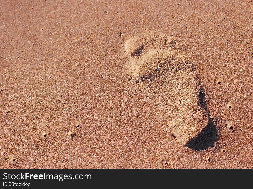 Footprint in sand