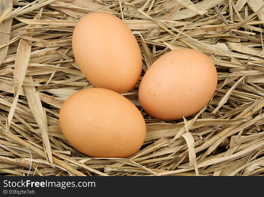 Three eggs